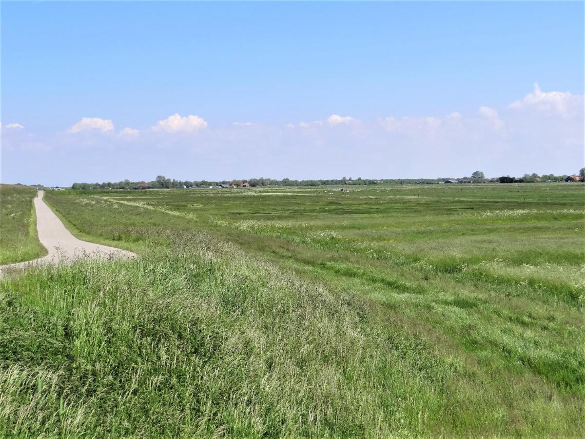 Вилла Vakantiewoning Grevelingen Схарендейке Экстерьер фото